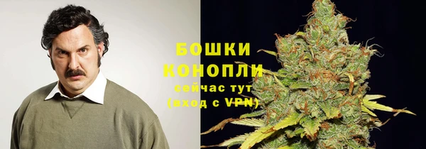 молекула духа Горно-Алтайск