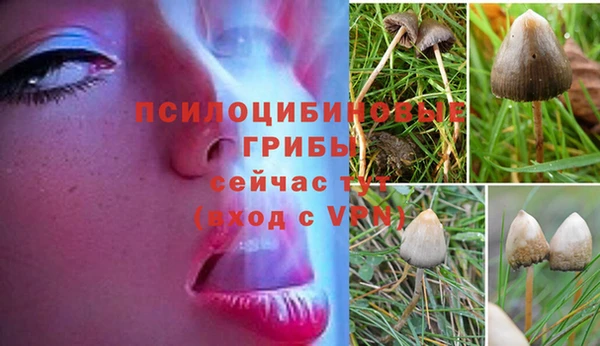 jwh Горняк