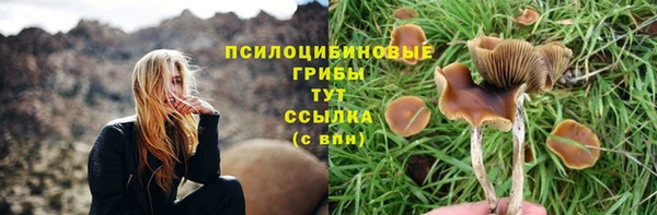 марихуана Горнозаводск