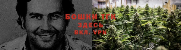 молекула духа Горно-Алтайск