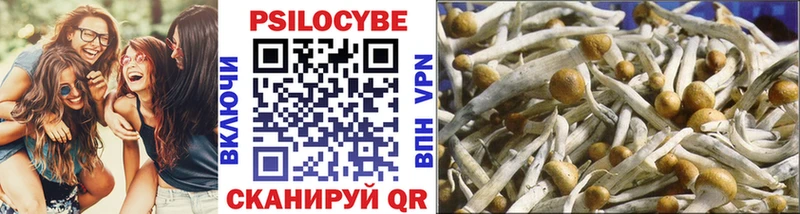Галлюциногенные грибы мухоморы  Купить  Бузулук 